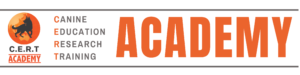 CERT Academy Logo